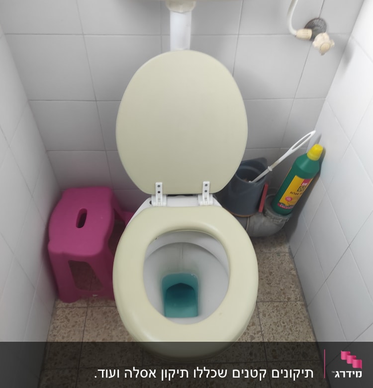 אסלה עם חומר ניקוי ומברשת שירותים